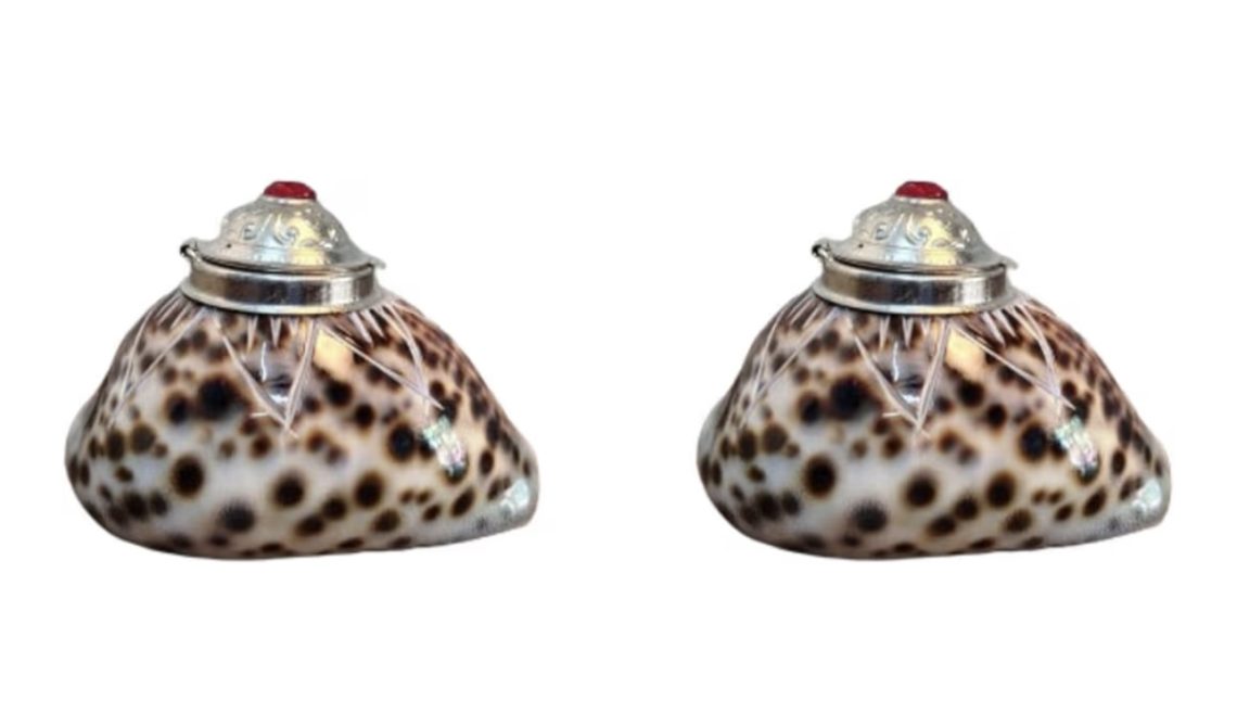 Pack of 2|handcrafted tiger cowrie natural sea shell kumguma chimil| kunguma chimil|natural shell kumkum box| sindoor box| fancy Sindoor Box|return gift |dani box | Sindoor dibbi | tiger eye